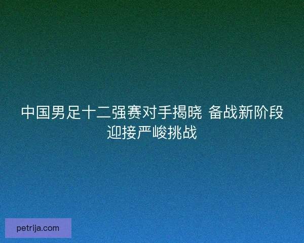 中国男足十二强赛对手揭晓 备战新阶段迎接严峻挑战 中国男足十二强赛对手揭晓 备战新阶段迎接严峻挑战